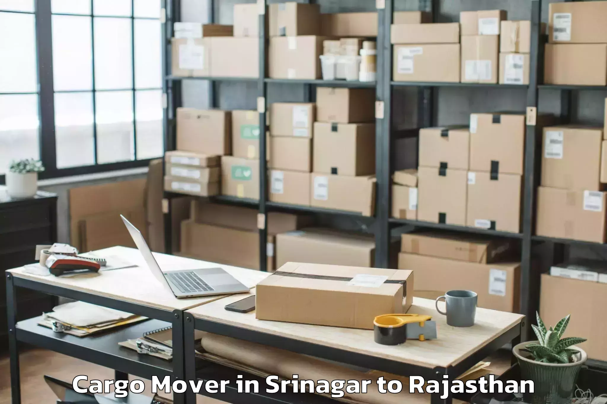 Book Your Srinagar to Banswara Cargo Mover Today